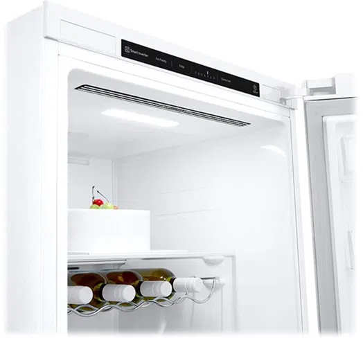 LG GLT51SWGSZ - Fritstående køleskab - Image 9